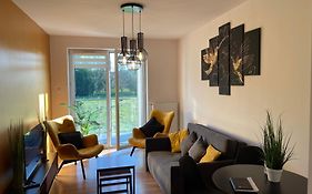 Luxury Apartment